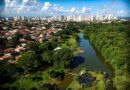 Dispensa de licença ambiental para atividades de baixo impacto podem ser emitidas gratuitamente em Goiânia