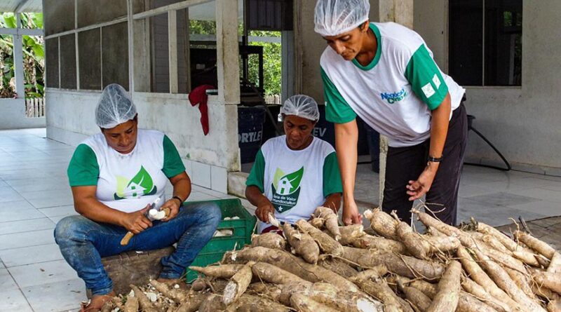 Vale do Juruá: Cruzeiro do Sul, no Acre, recebe título de Capital Nacional da Farinha de Mandioca