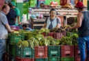 Anvisa inicia monitoramento de resíduos de agrotóxicos em alimentos