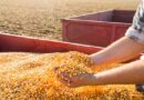 Em Goiânia, compradores do agro têm financiamento imobiliário diferente