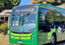 Transporte coletivo tem número de viagens ampliado para atender romeiros de Trindade