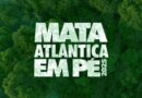 Operação “Mata Atlântica em Pé”, em Goiás aplica cerca de R$ 430 mil em multas por desmatamento em 4 municípios 
