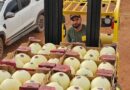 Agrodefesa garante segurança fitossanitária e Goiás inicia exportação de melão para Argentina