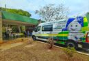 Secretaria da Saúde de Goiás prepara semana de vacinação contra Febre Amarela