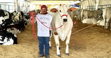 Flamboyant Agropecuária reforça seu protagonismo no disputado mercado agropecuário brasileiro