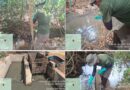MPGO ajuíza ação contra Saneago e Estado de Goiás por poluição no Córrego Sussuapara, em Bela Vista de Goiás