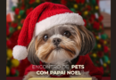 Evento gratuito no Buriti Shopping reúne tutores e pets para fotos, interação e memórias natalinas, neste domingo (21/12)