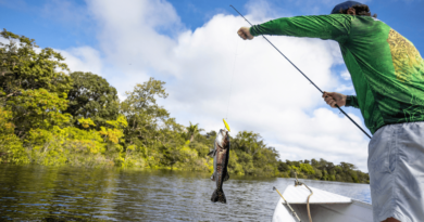 Pesca esportiva ganha força com ações do Ministério do Turismo