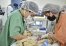 Cardiopediatria: Goiás avança na oferta de cirurgias cardíacas para crianças