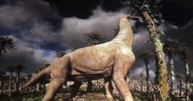 Shopping Cerrado recebe atração inédita com planetário imersivo de dinossauros